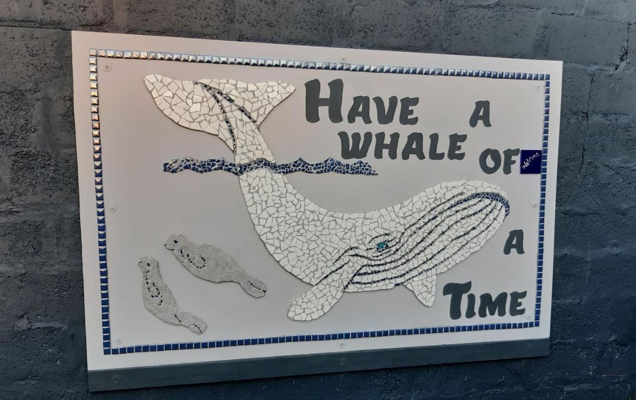 Whale Watch Accommodation De Kelders Dış mekan fotoğraf